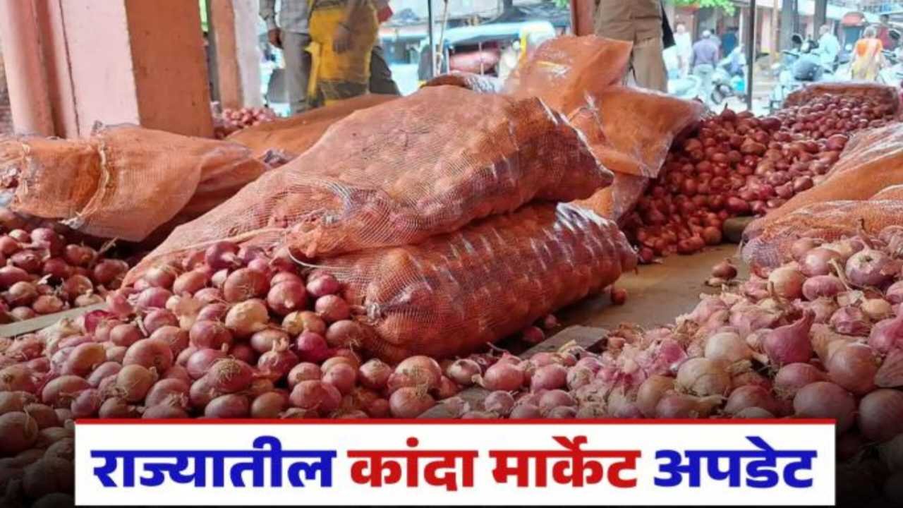 कांदा दरात पुन्हा वाढ! बाजारात 'लाल' कांद्याची हवा; पाहा आजचे सर्व जिल्ह्यांतील ताजे बाजार भाव onion market rate today